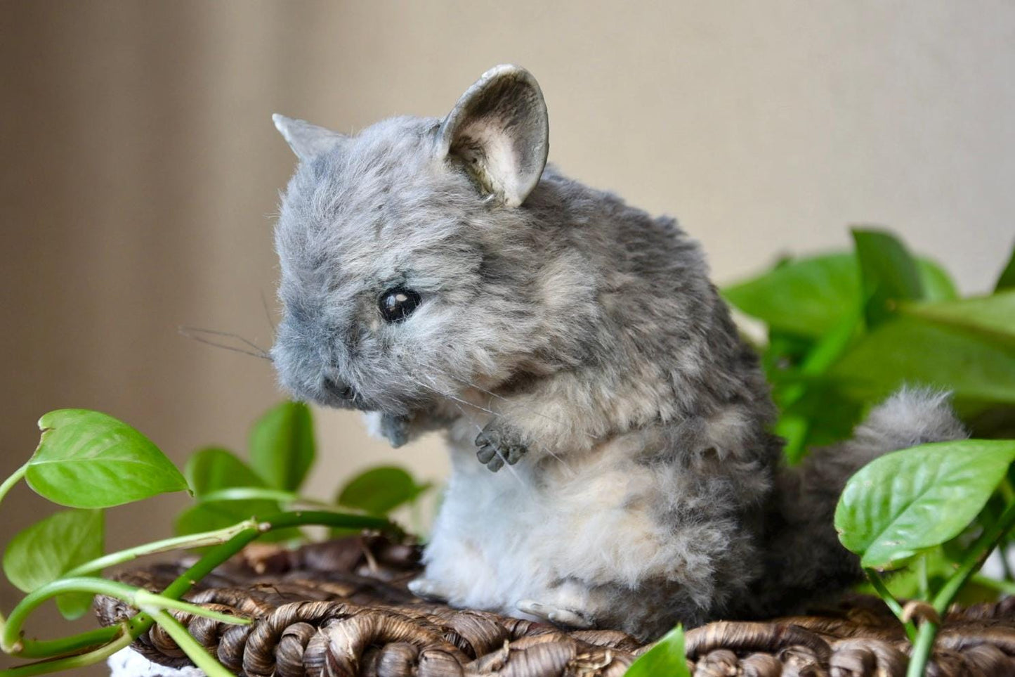 Custom Pet Replica, Chinchilla plush,Photo of pet into custom stuffed animal,Handmade Pipe Cleaner Dollhouse Dog,Personalized Pet Plush
