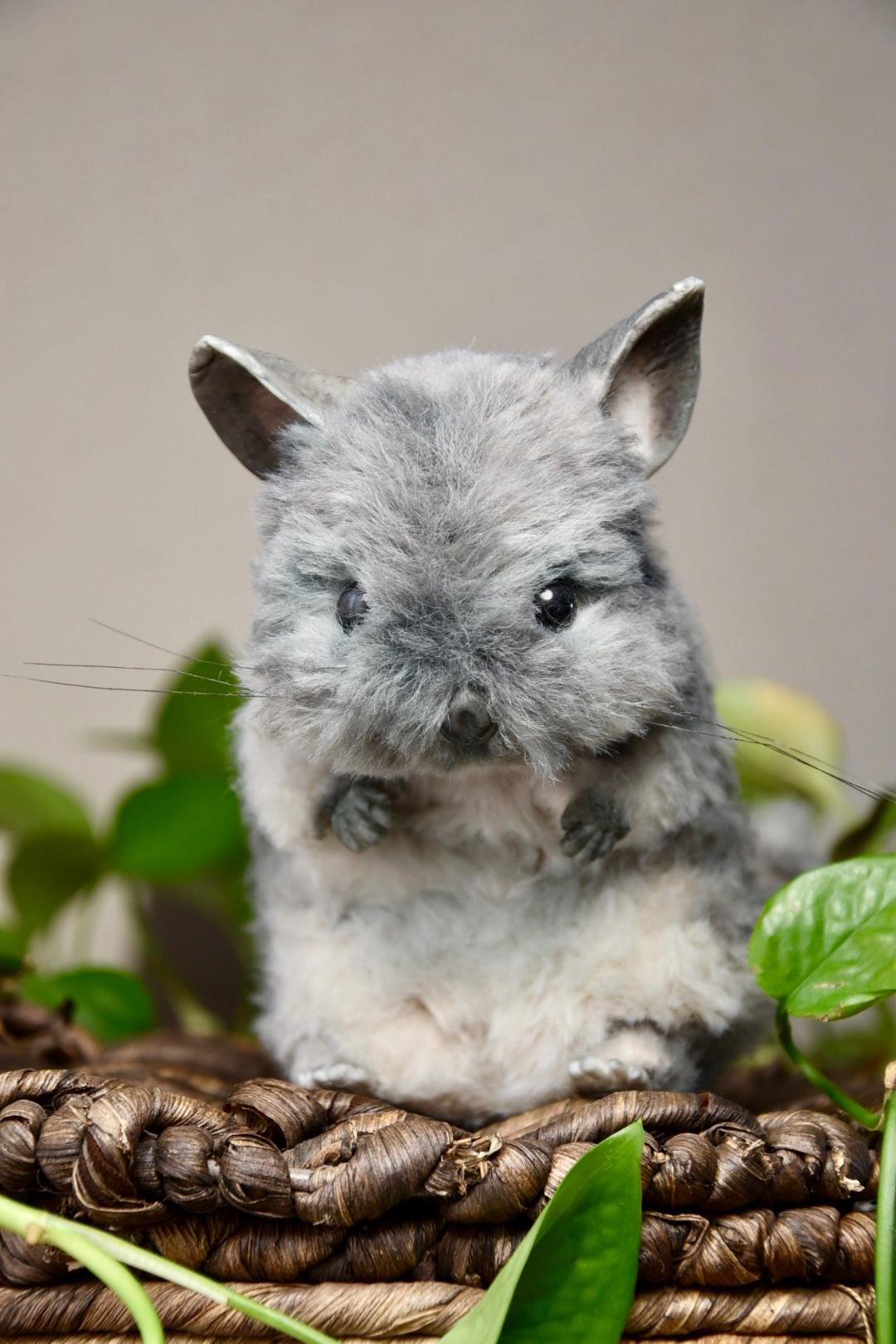 Custom Pet Replica, Chinchilla plush,Photo of pet into custom stuffed animal,Handmade Pipe Cleaner Dollhouse Dog,Personalized Pet Plush