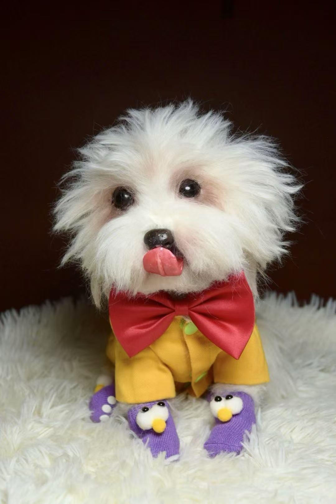 Realistic Custom Pet Plush from Photo - Handmade Dog or Cat Replica - Memorial Gift for Pet Loss - Worldwide Free Shipping from Spain