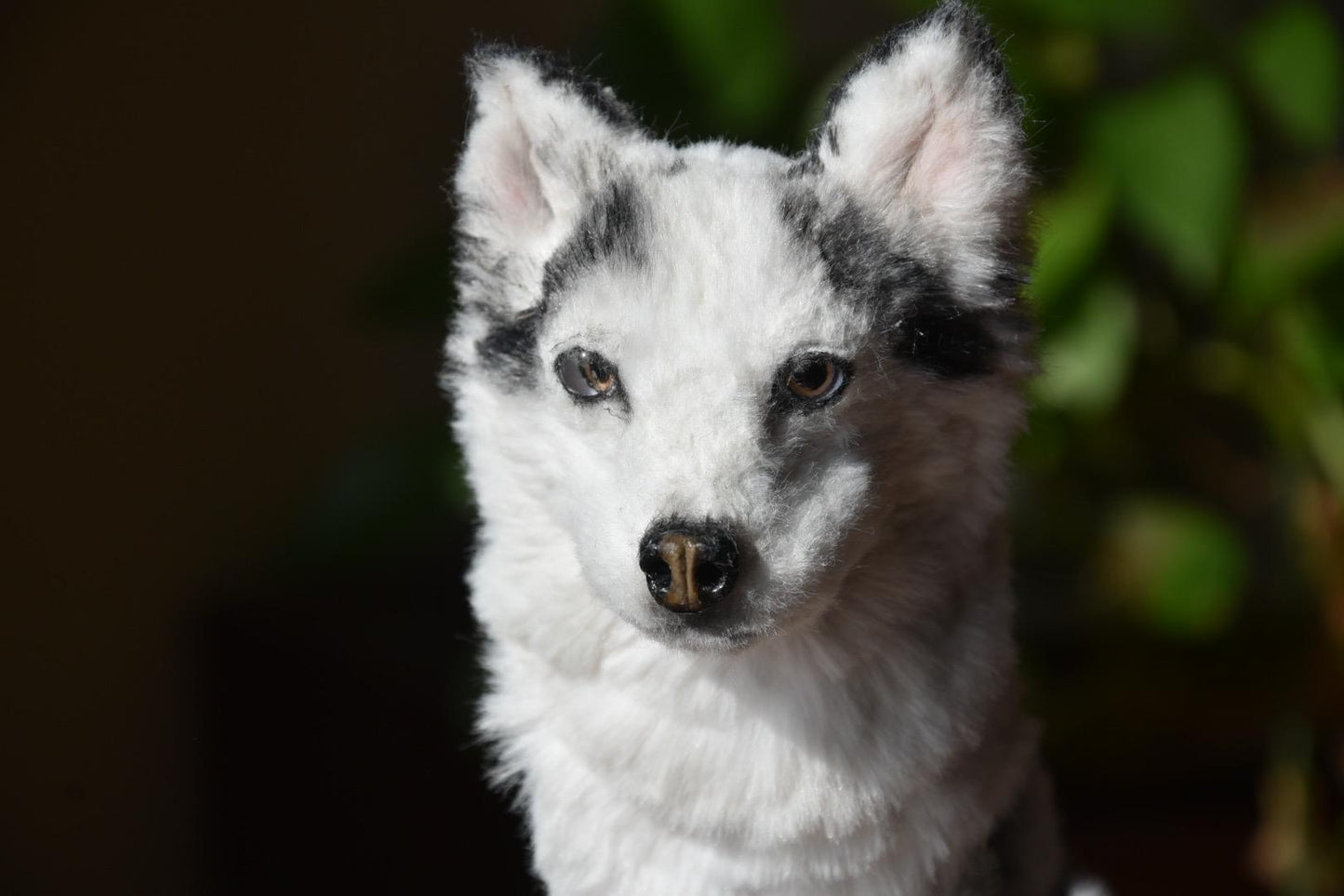 Custom Pet Replica Dog Plush,Photo of pet into custom stuffed animal,Handmade Pipe Cleaner Dollhouse Dog,Personalized Pet Plush Pet Memorial-9