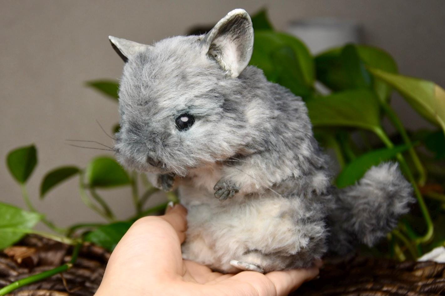 Custom Pet Replica, Chinchilla plush,Photo of pet into custom stuffed animal,Handmade Pipe Cleaner Dollhouse Dog,Personalized Pet Plush
