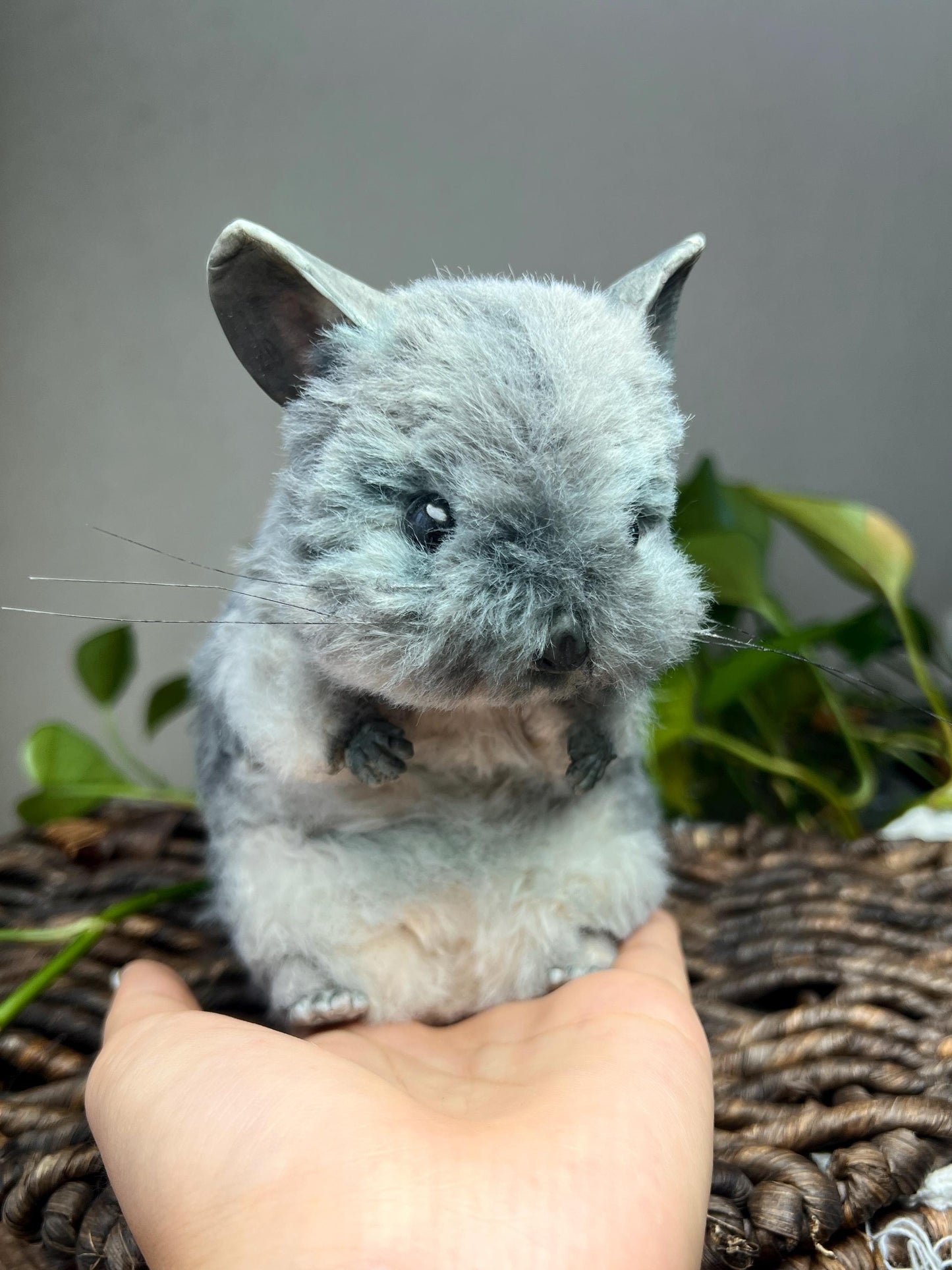 Custom Pet Replica, Chinchilla plush,Photo of pet into custom stuffed animal,Handmade Pipe Cleaner Dollhouse Dog,Personalized Pet Plush