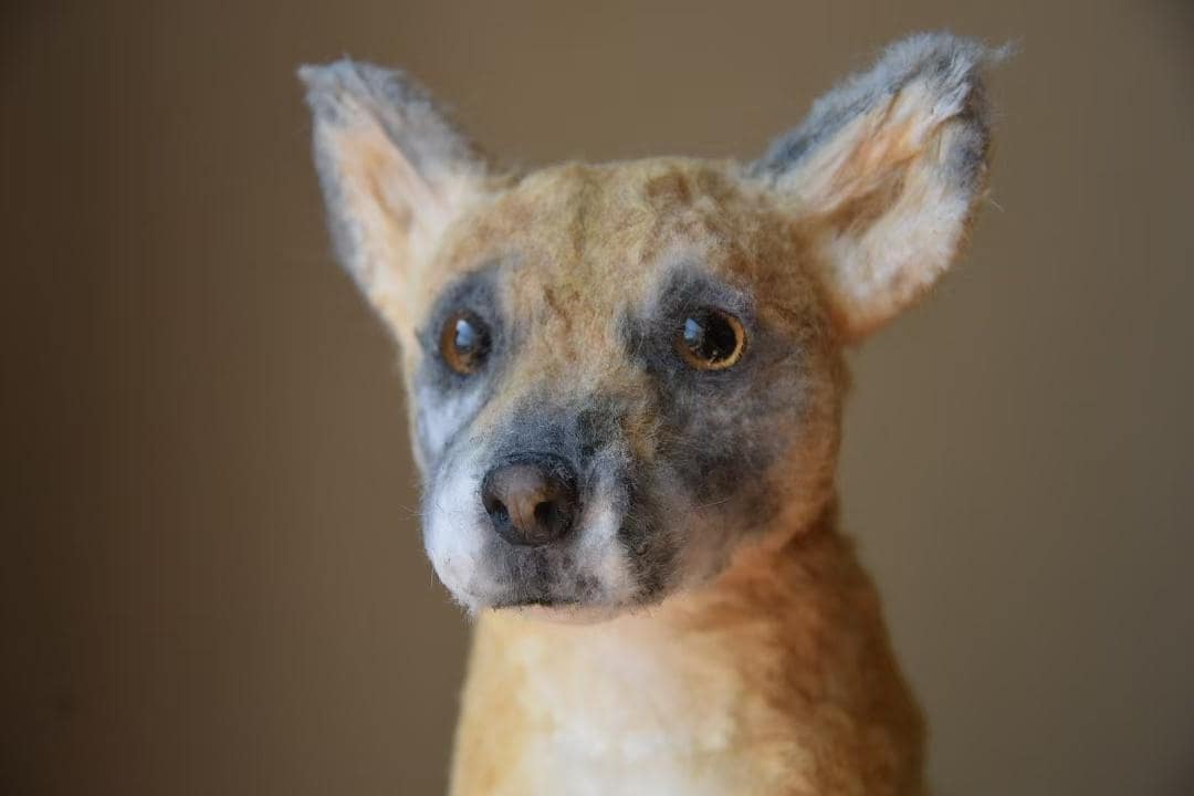 Custom Pet Replica Dog Plush,Photo of pet into custom stuffed animal,Handmade Pipe Cleaner Dollhouse Dog,Personalized Pet Plush Pet Memorial-8