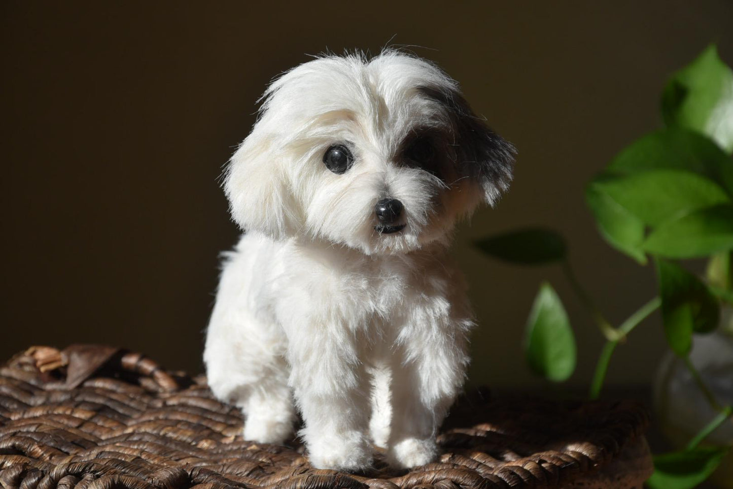 Custom Pet Replica Dog Plush,Photo of pet into custom stuffed animal,Handmade Pipe Cleaner Dollhouse Dog,Personalized Pet Plush Pet Memorial-7