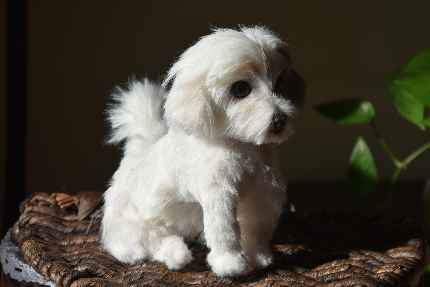 Custom Pet Replica Dog Plush,Photo of pet into custom stuffed animal,Handmade Pipe Cleaner Dollhouse Dog,Personalized Pet Plush Pet Memorial-7