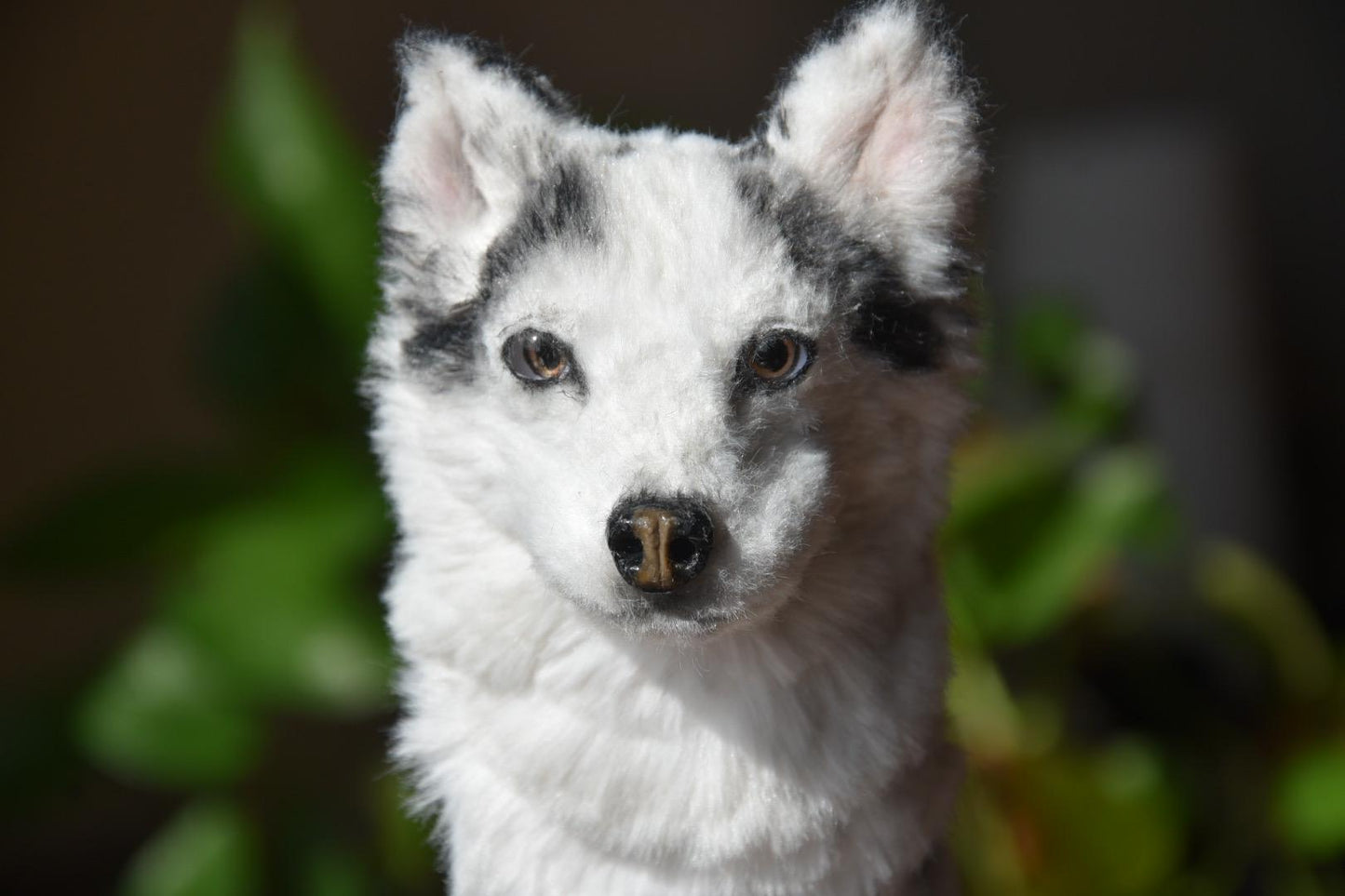 Custom Pet Replica Dog Plush,Photo of pet into custom stuffed animal,Handmade Pipe Cleaner Dollhouse Dog,Personalized Pet Plush Pet Memorial-9
