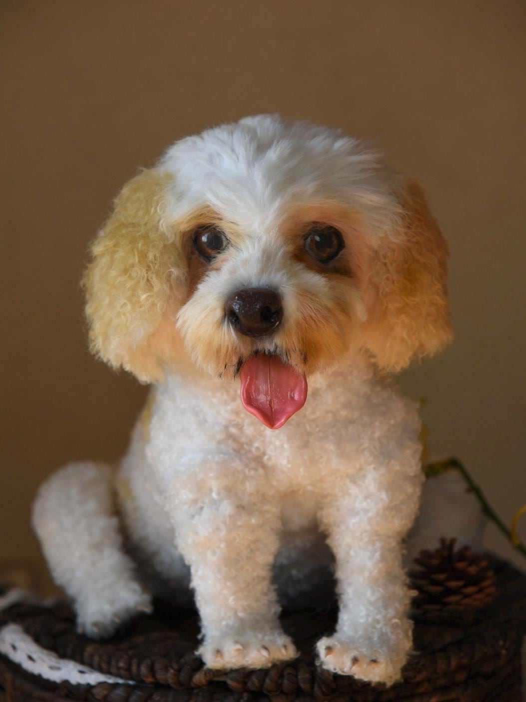 Custom Pet Replica Dog Plush,Photo of pet into custom stuffed animal,Handmade Pipe Cleaner Dollhouse Dog,Personalized Pet Plush Pet Memorial