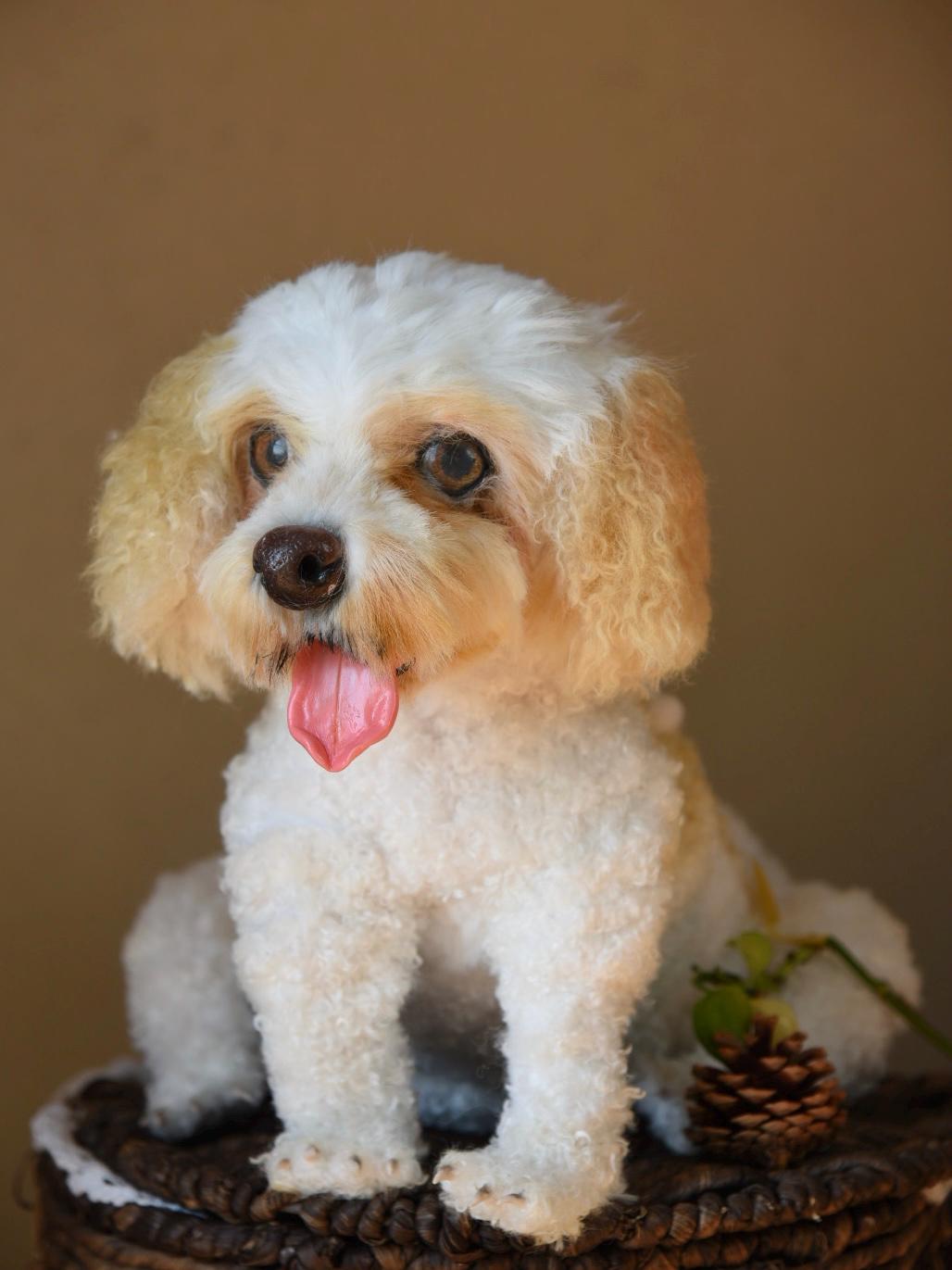 Custom Pet Replica Dog Plush,Photo of pet into custom stuffed animal,Handmade Pipe Cleaner Dollhouse Dog,Personalized Pet Plush Pet Memorial