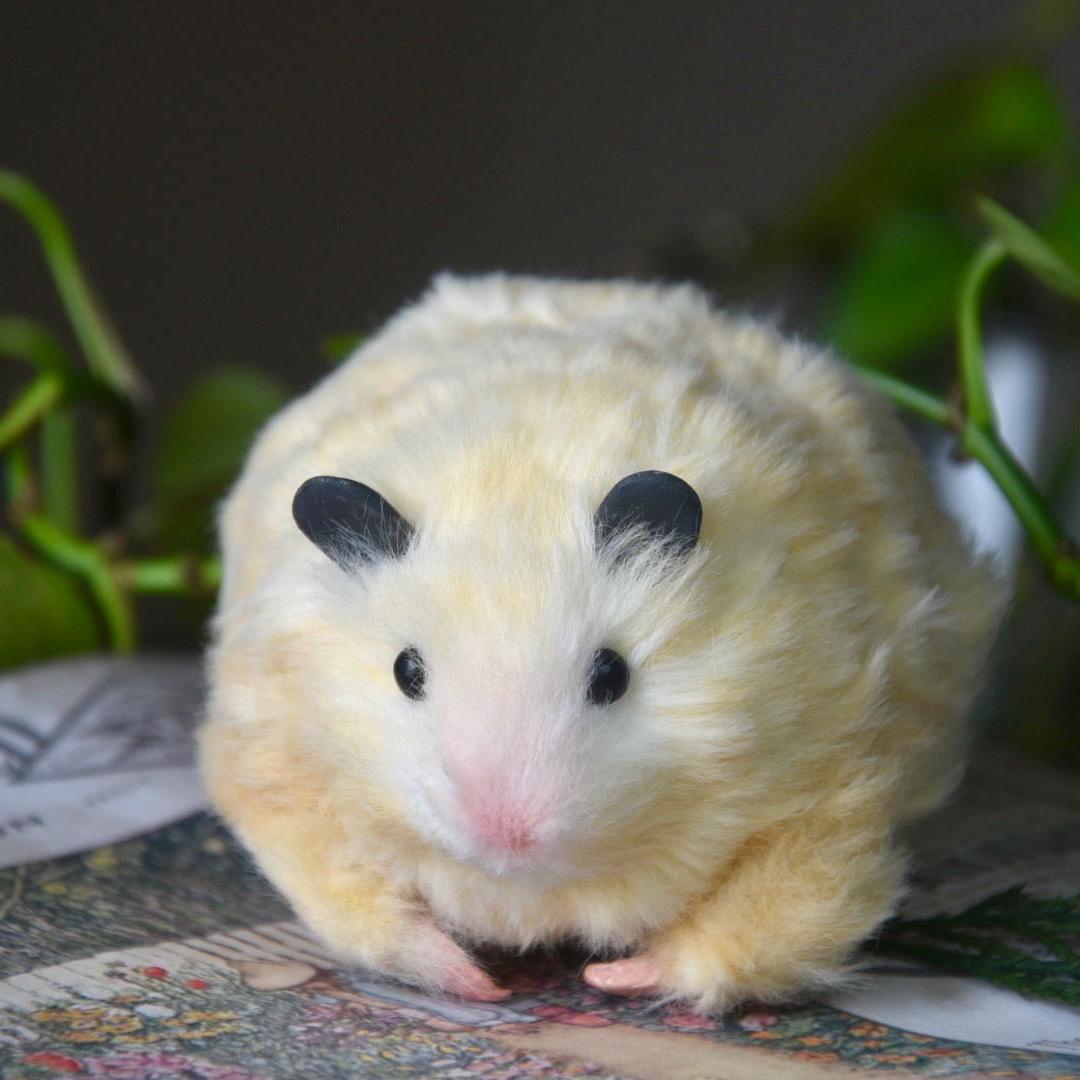 custom hamster plush, hamster replica handmade, personalized hamster gift, pet keepsake from photo, custom pipe cleaner hamster plush, xmas gift