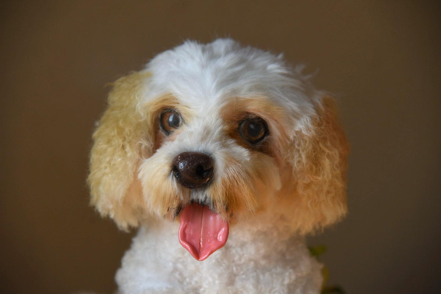 Custom Pet Replica Dog Plush,Photo of pet into custom stuffed animal,Handmade Pipe Cleaner Dollhouse Dog,Personalized Pet Plush Pet Memorial