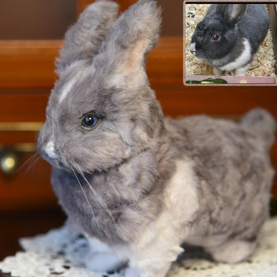 Custom Pet Replica Rabbit Plush,Photo of pet into custom stuffed animal,Handmade Pipe Cleaner Dog,Personalized Pet Plush Pet Memorial