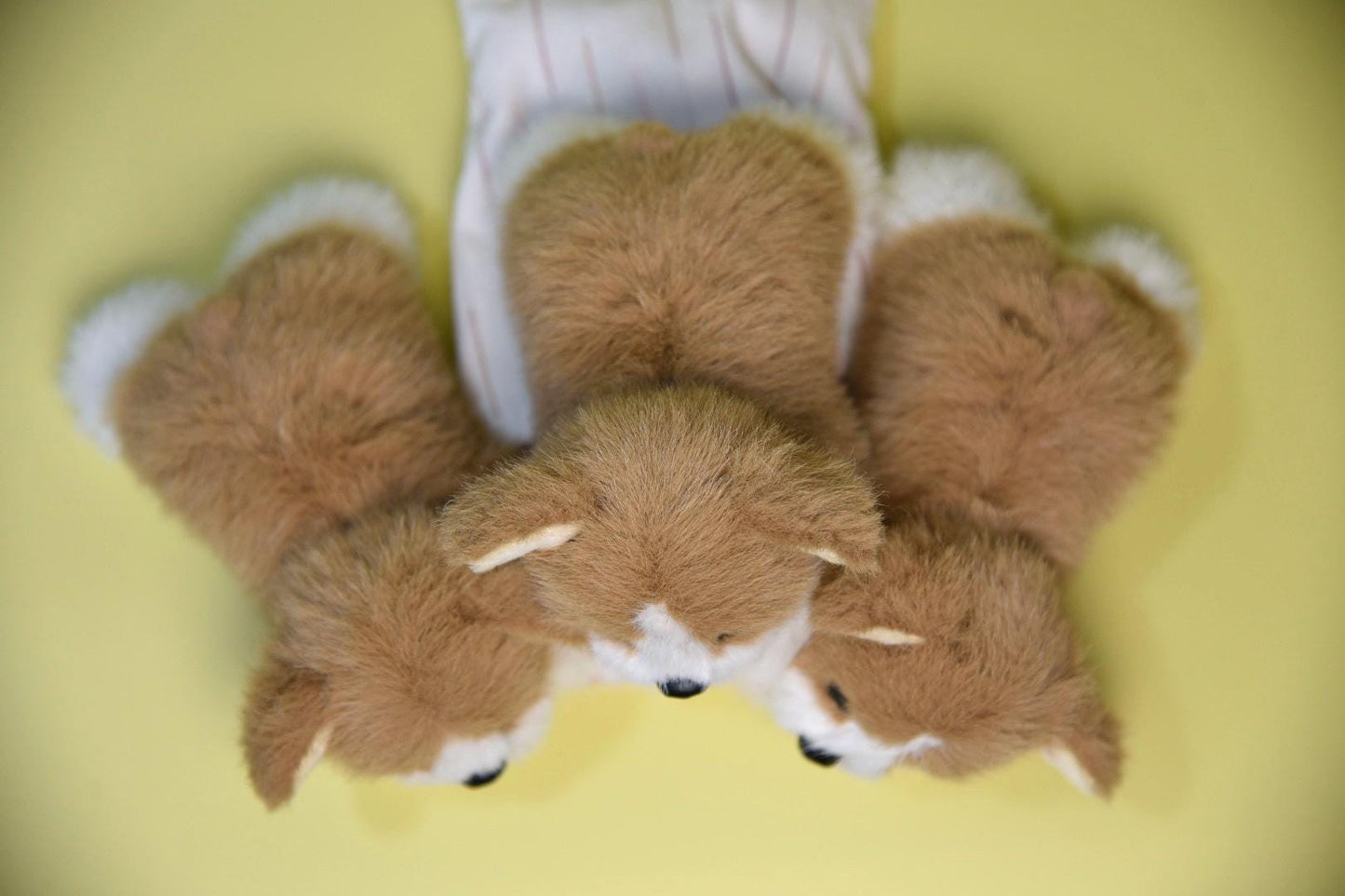 Handmade Corgi Doll, Unique Custom Corgi Plush, Adorable Dog Plush, Puppy Charm for gifts-corgi lover gifts, Handmade Collectible Dog Doll