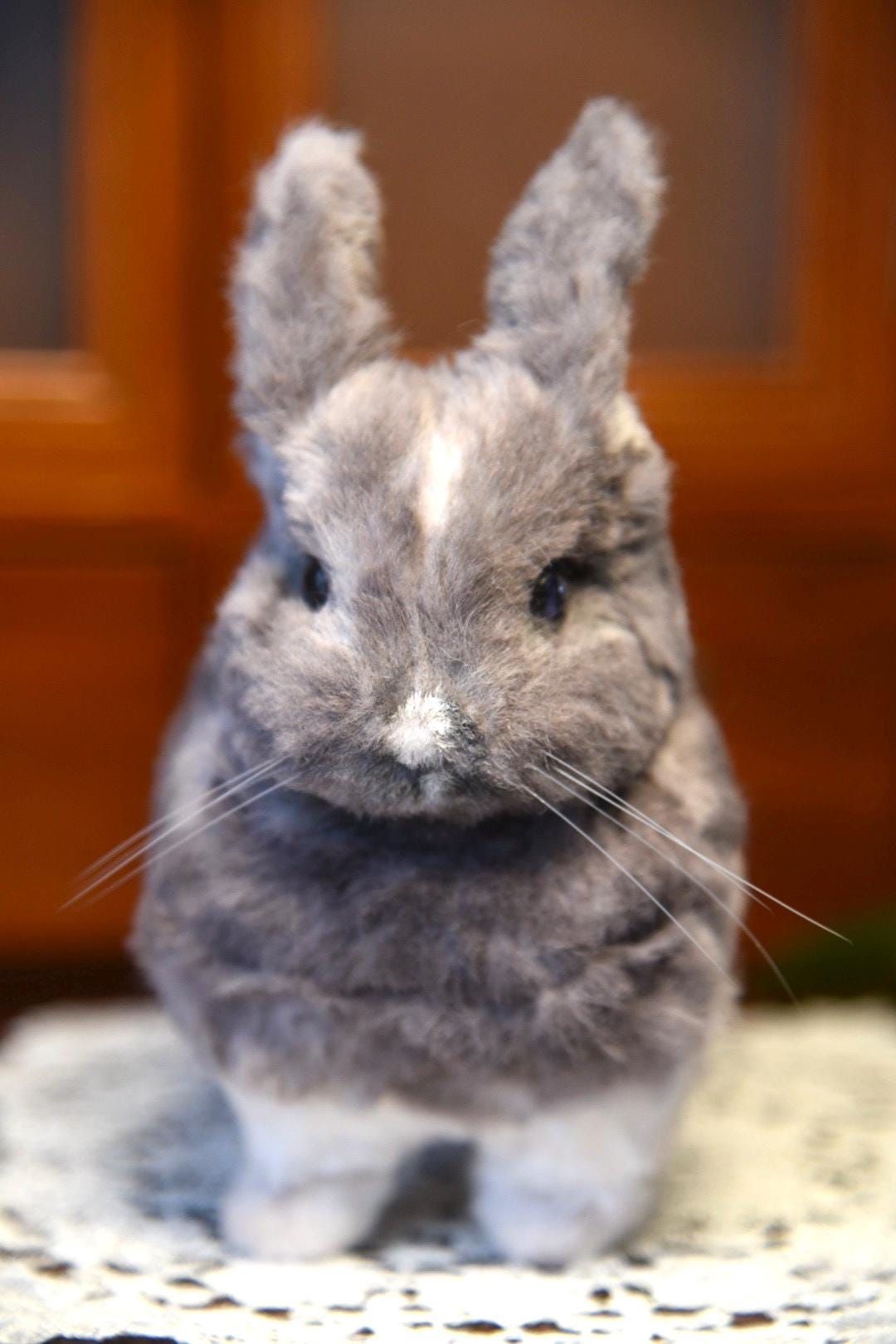 Custom Pet Replica Rabbit Plush,Photo of pet into custom stuffed animal,Handmade Pipe Cleaner Dog,Personalized Pet Plush Pet Memorial