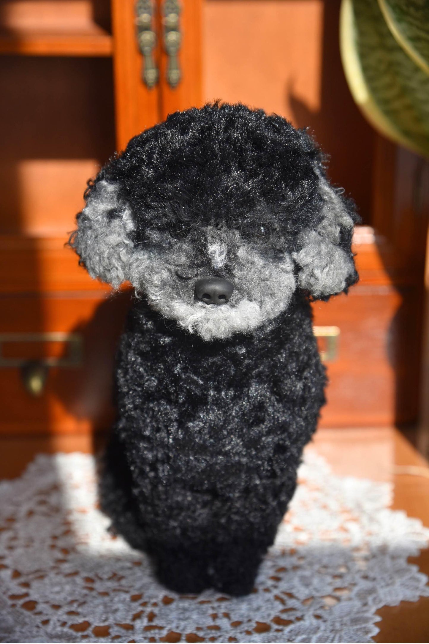 Réplica de perro de peluche personalizada, foto de mascota convertida en peluche personalizado, perro de casa de muñecas hecho a mano con limpiapipas, peluche personalizado para mascota conmemorativo - 1