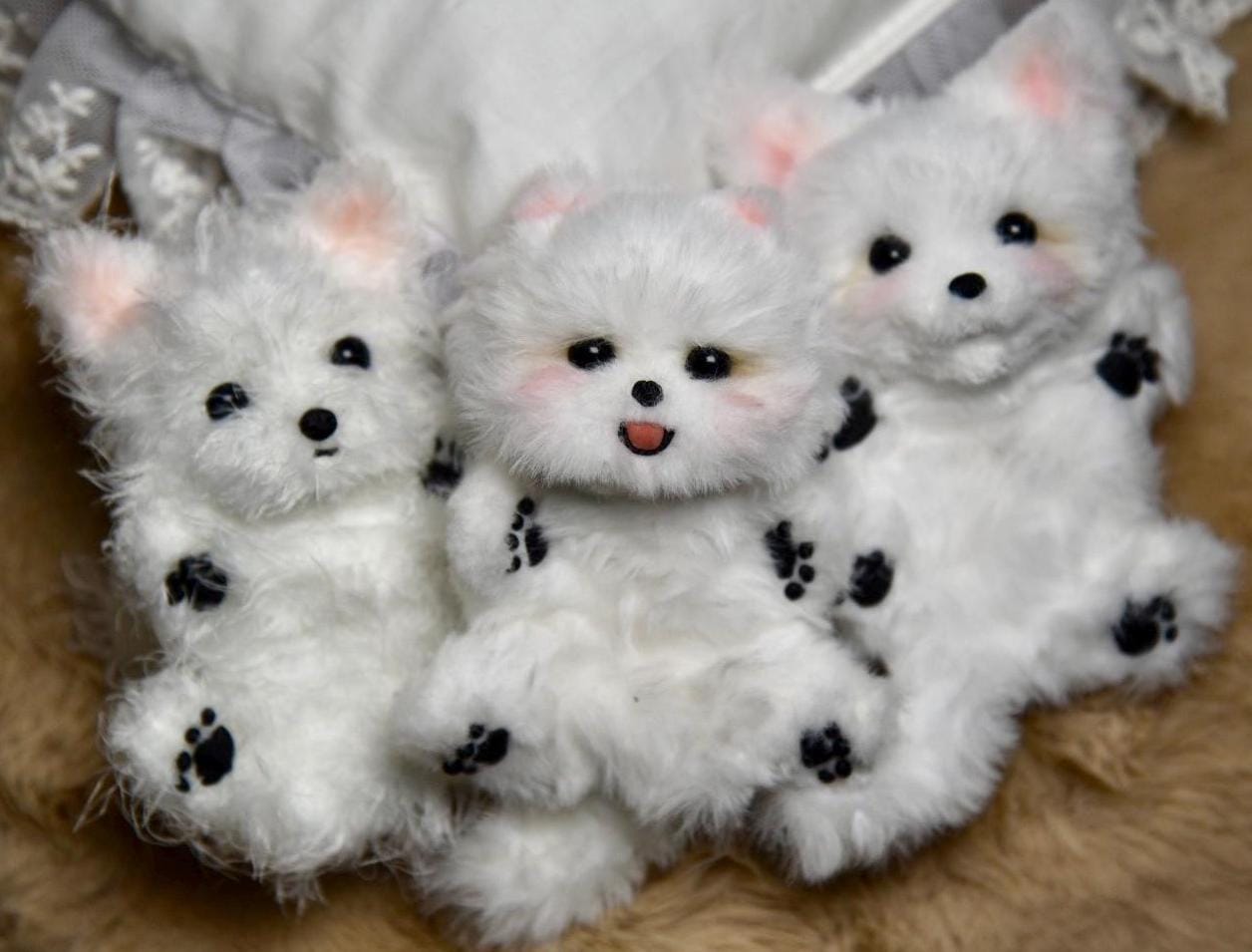 Pomeranian Plush Toy,chihuahua, Yorkshire Terrier Toy,Emotional Support, Dog Miniature, Dog Keychain,Realistic Pet Plush
