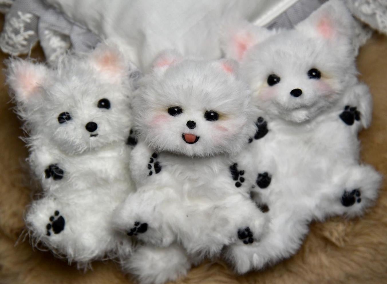 Pomeranian Plush Toy,chihuahua, Yorkshire Terrier Toy,Emotional Support, Dog Miniature, Dog Keychain,Realistic Pet Plush