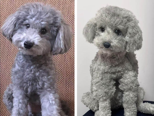 Life-Size Custom Pet Replica - Handmade Pipe Cleaner Memorial Sculpture | Hyper-Realistic Poseable Pet Doll | Rainbow Bridge Comfort Gift