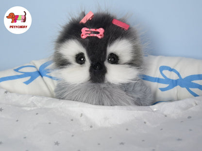 DIY Penguin Plush Kit with Video Tutorial,Stuffed Animal All-In-One Sewing Kit,Easy-to-Follow,Doll Making Pattern Material Kit Sewing Gift
