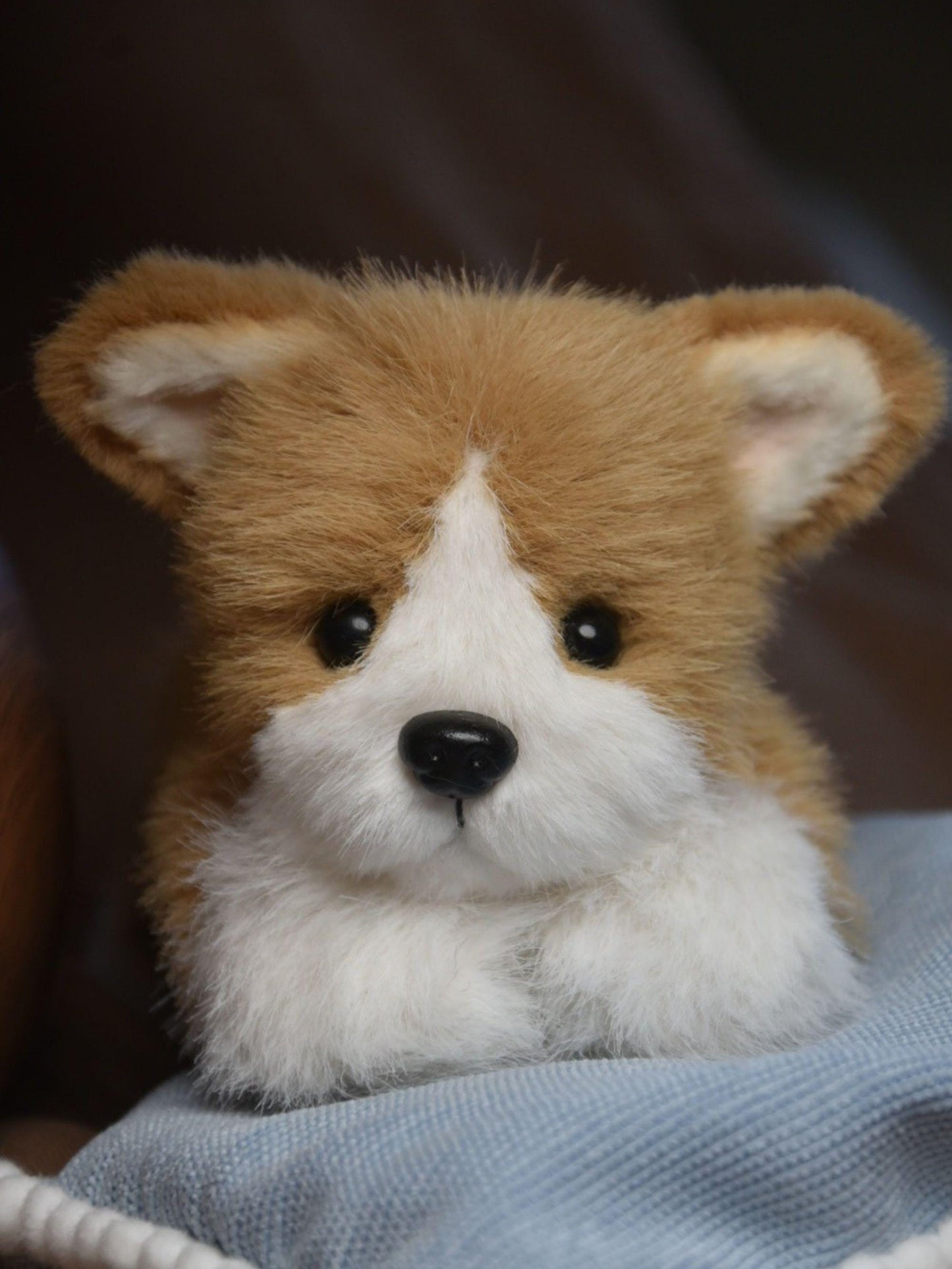 A Lying Down Corgi,Custom Your Own Corgi Toy, Handmade Stuffed Corgi Doll, Realistic Plush Dog, Posable Collectible Doll Fun for All Ages