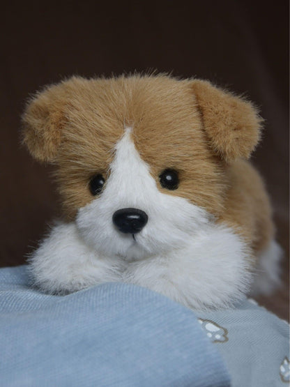 A Lying Down Corgi,Custom Your Own Corgi Toy, Handmade Stuffed Corgi Doll, Realistic Plush Dog, Posable Collectible Doll Fun for All Ages