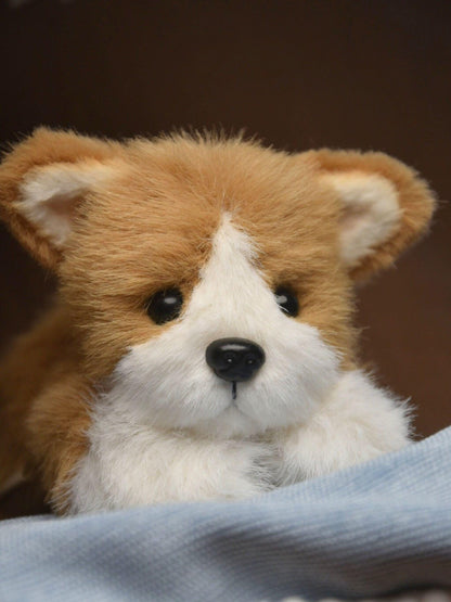 A Lying Down Corgi,Custom Your Own Corgi Toy, Handmade Stuffed Corgi Doll, Realistic Plush Dog, Posable Collectible Doll Fun for All Ages