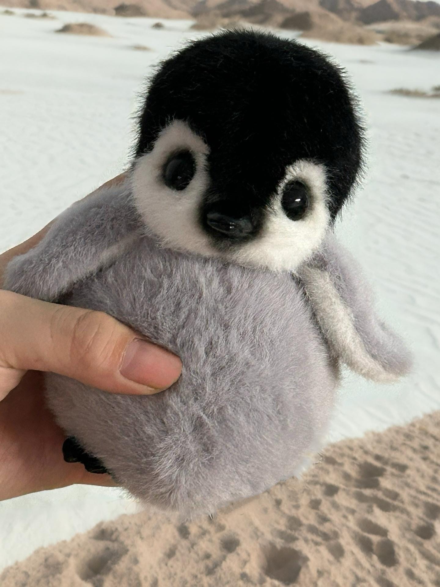 Pingüinos perdidos en el desierto, muñeco de pingüino de peluche hecho a mano, color personalizado, muñeco articulado coleccionable, peluches realistas, regalos de Navidad.