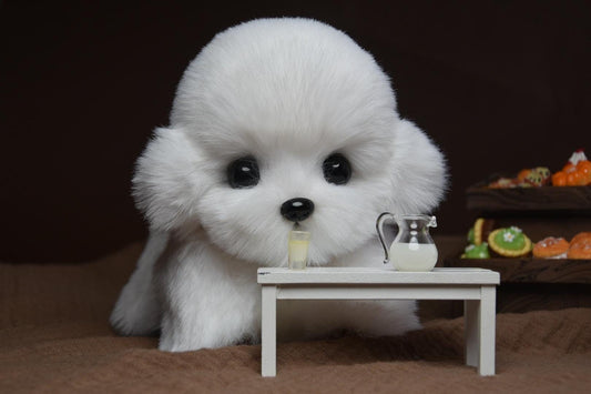 Personaliza tu propio caniche de peluche, hecho a mano, realista, coleccionable y articulado. Diversión para todas las edades (3 años)