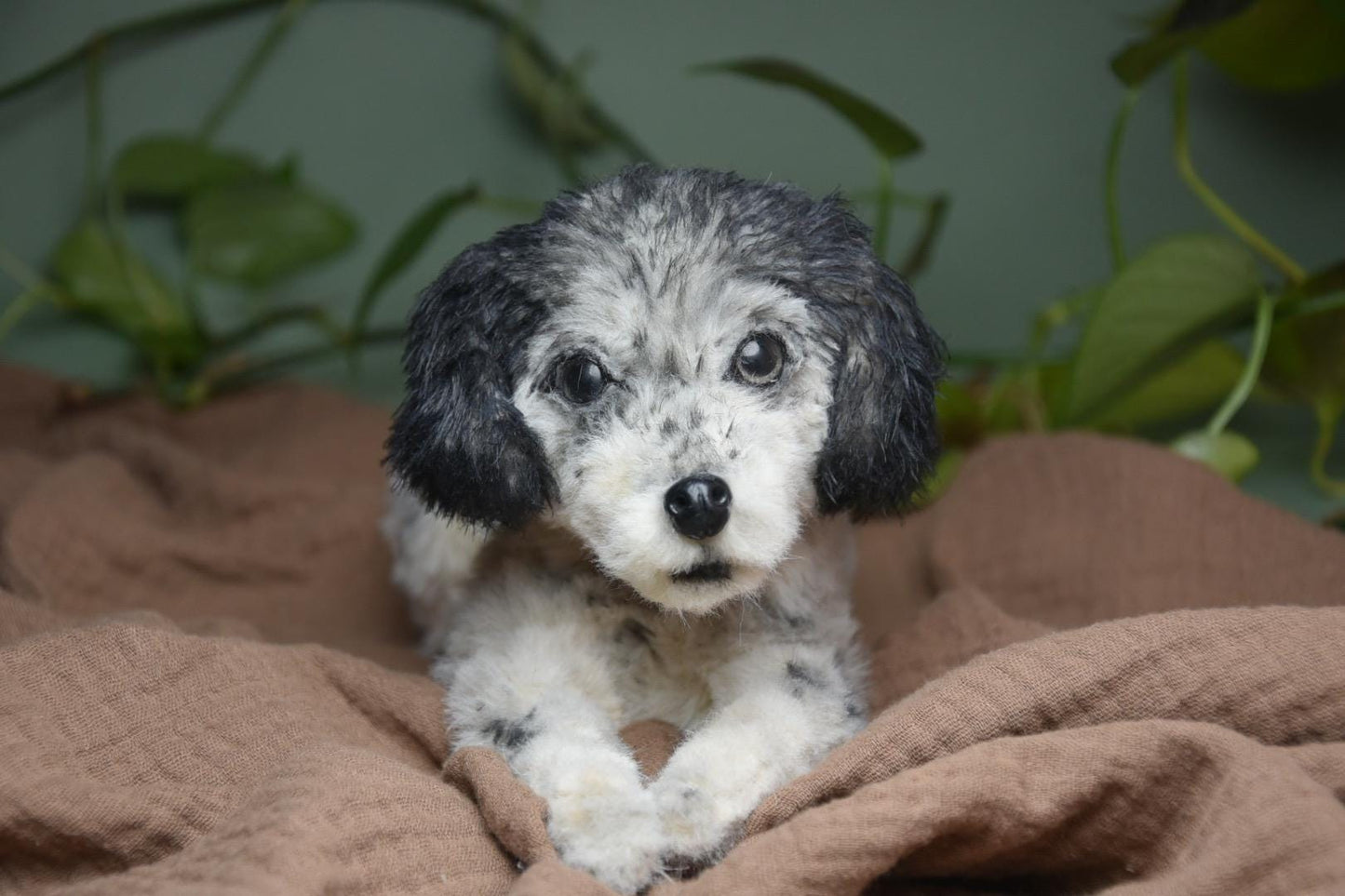 Custom Pet Dog Plush, Handmade Personalized Dog Stuffed Animal, Pet Replica from Photo, Unique Pet Memorial Gift-7
