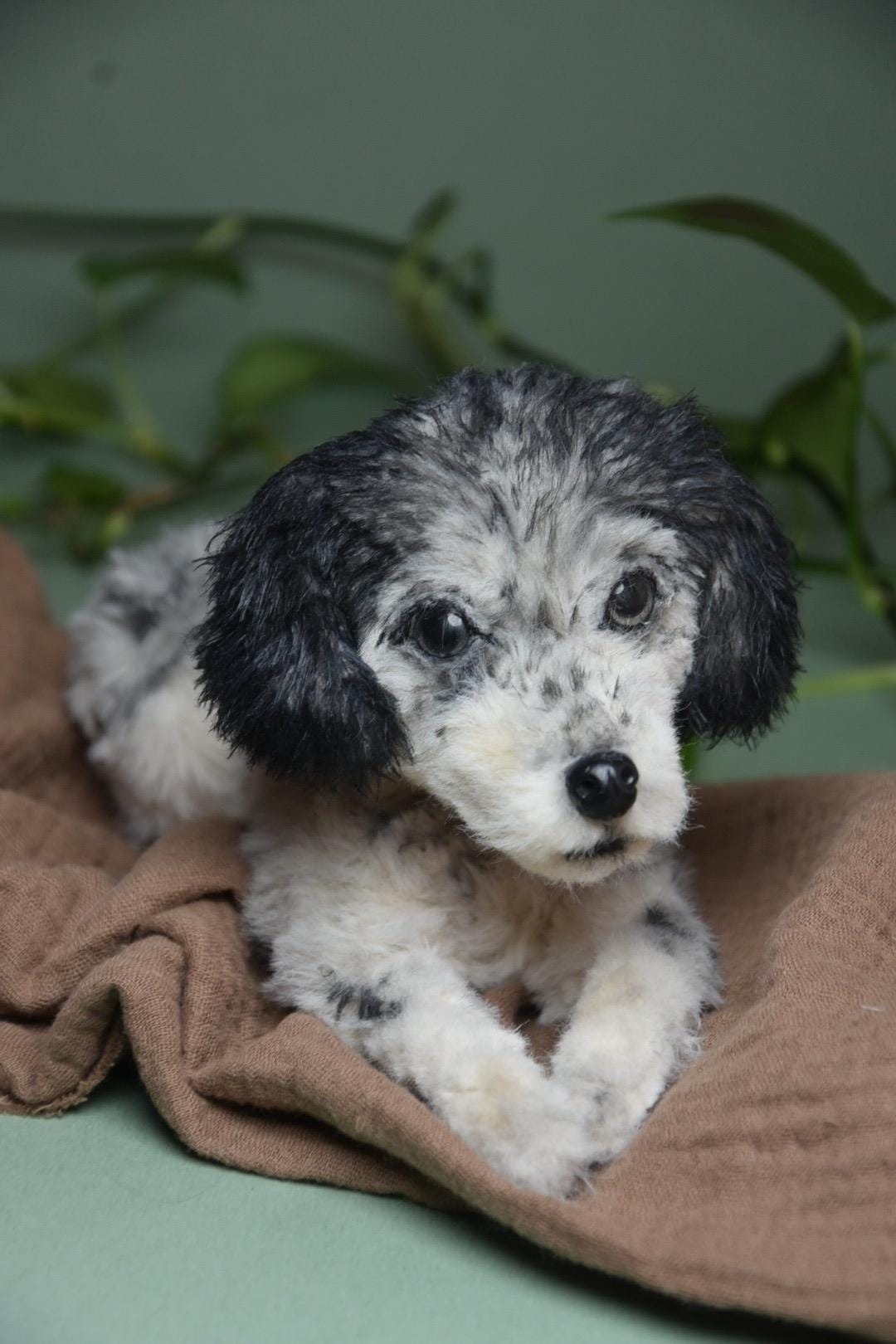 Custom Pet Dog Plush, Handmade Personalized Dog Stuffed Animal, Pet Replica from Photo, Unique Pet Memorial Gift-7