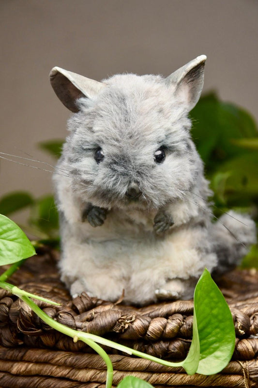 Custom Pet Replica, Chinchilla plush,Photo of pet into custom stuffed animal,Handmade Pipe Cleaner Dollhouse Dog,Personalized Pet Plush