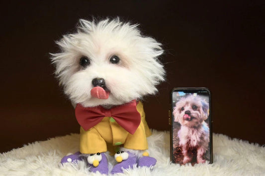 Realistic Custom Pet Plush from Photo - Handmade Dog or Cat Replica - Memorial Gift for Pet Loss - Worldwide Free Shipping from Spain