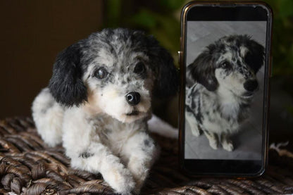 Custom Pet Dog Plush, Handmade Personalized Dog Stuffed Animal, Pet Replica from Photo, Unique Pet Memorial Gift-7