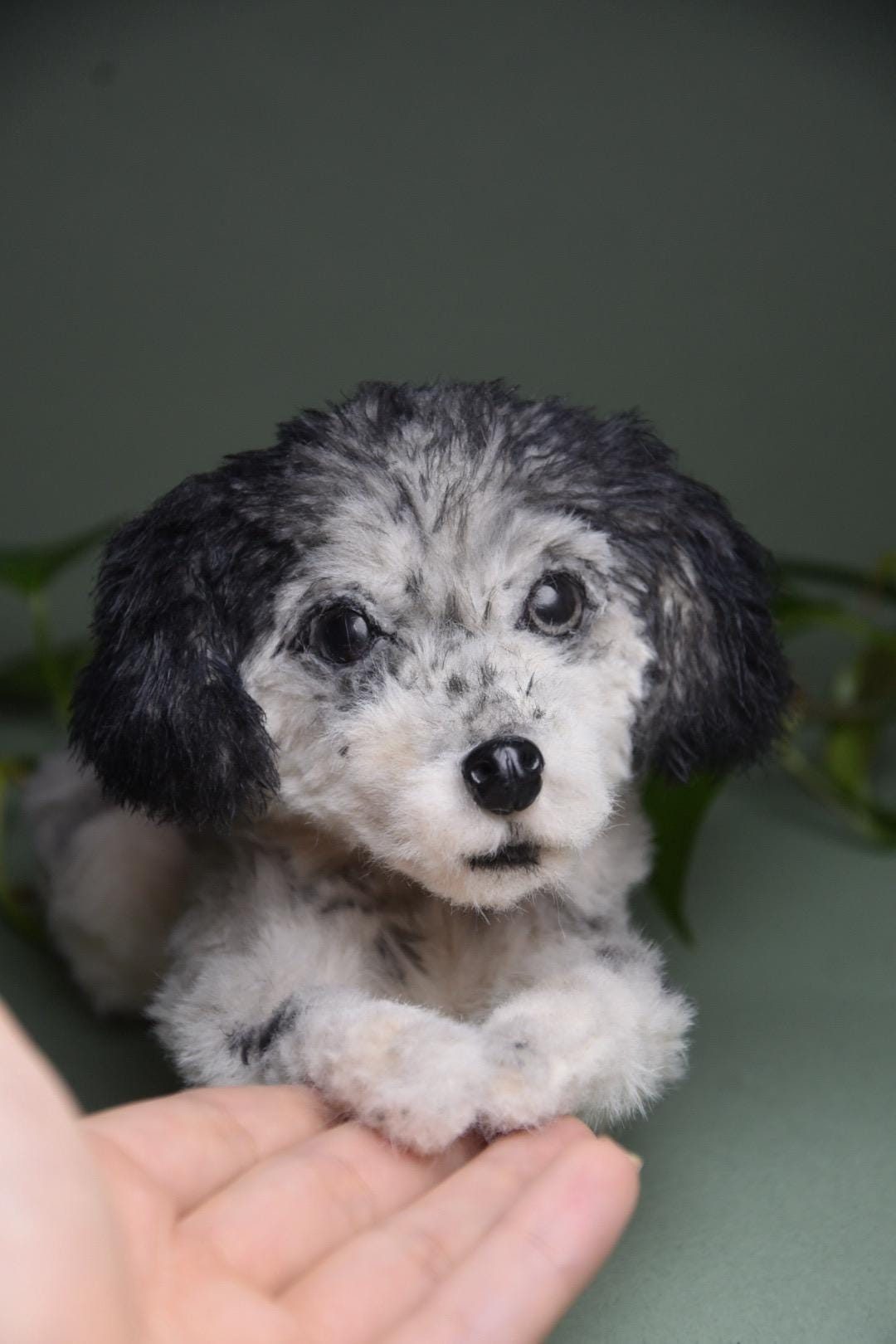 Custom Pet Dog Plush, Handmade Personalized Dog Stuffed Animal, Pet Replica from Photo, Unique Pet Memorial Gift-7