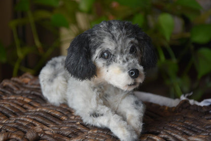 Custom Pet Dog Plush, Handmade Personalized Dog Stuffed Animal, Pet Replica from Photo, Unique Pet Memorial Gift-7