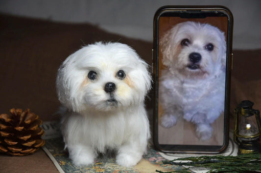 Custom Pet Replica Dog Plush,Photo of pet into custom stuffed animal,Handmade Pipe Cleaner Dollhouse Dog,Personalized Pet Plush Pet Memorial-10
