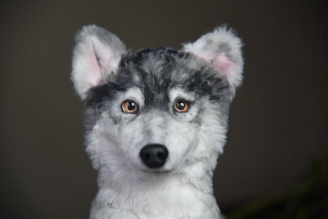Custom Pet Replica Dog Plush,Photo of pet into custom stuffed animal,Handmade Pipe Cleaner Dollhouse Dog,Personalized Pet Plush Pet Memorial-35