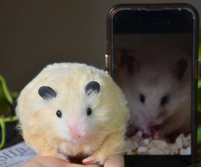 custom hamster plush, hamster replica handmade, personalized hamster gift, pet keepsake from photo, custom pipe cleaner hamster plush, xmas gift