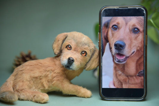 Custom Pet Replica Dog Plush,Photo of pet into custom stuffed animal,Handmade Pipe Cleaner Dollhouse Dog,Personalized Pet Plush Pet Memorial-32