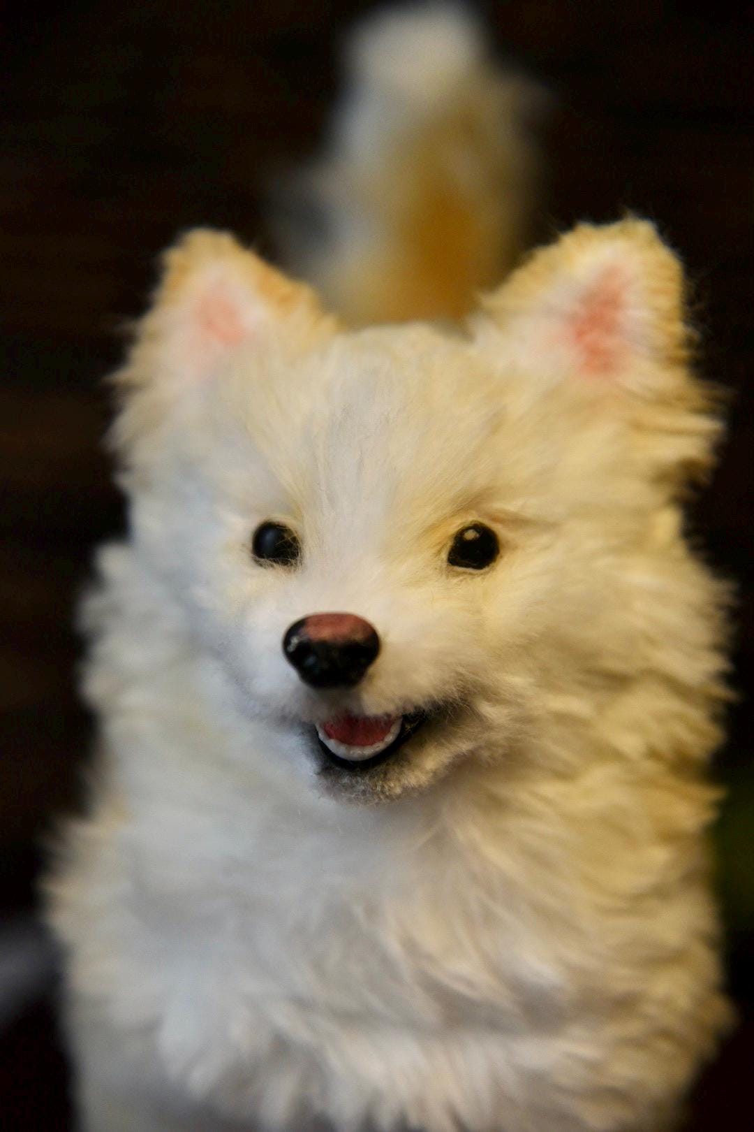 Custom Pet Dog Plush, Handmade Personalized Dog Stuffed Animal, Pet Replica from Photo, Unique Pet Memorial Gift-6