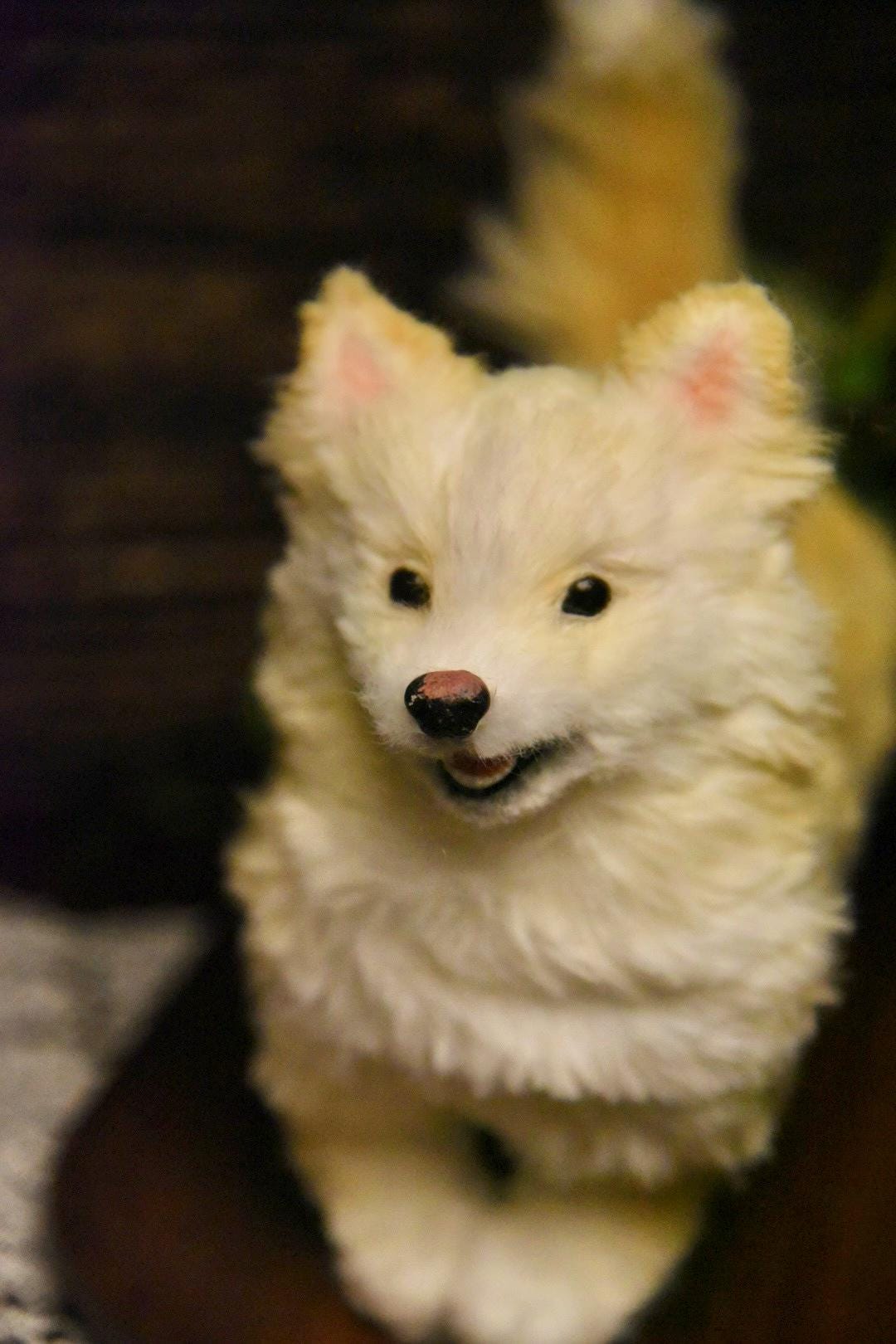 Custom Pet Dog Plush, Handmade Personalized Dog Stuffed Animal, Pet Replica from Photo, Unique Pet Memorial Gift-6