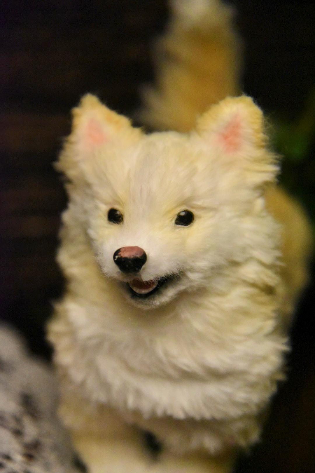Custom Pet Dog Plush, Handmade Personalized Dog Stuffed Animal, Pet Replica from Photo, Unique Pet Memorial Gift-6