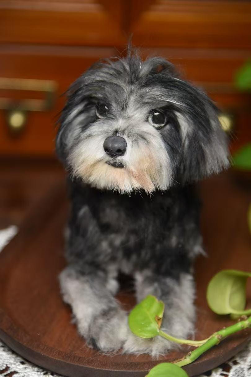 Réplica de perro de peluche personalizada, foto de mascota convertida en peluche personalizado, perro de casa de muñecas hecho a mano con limpiapipas, peluche personalizado para mascota conmemorativo - 24