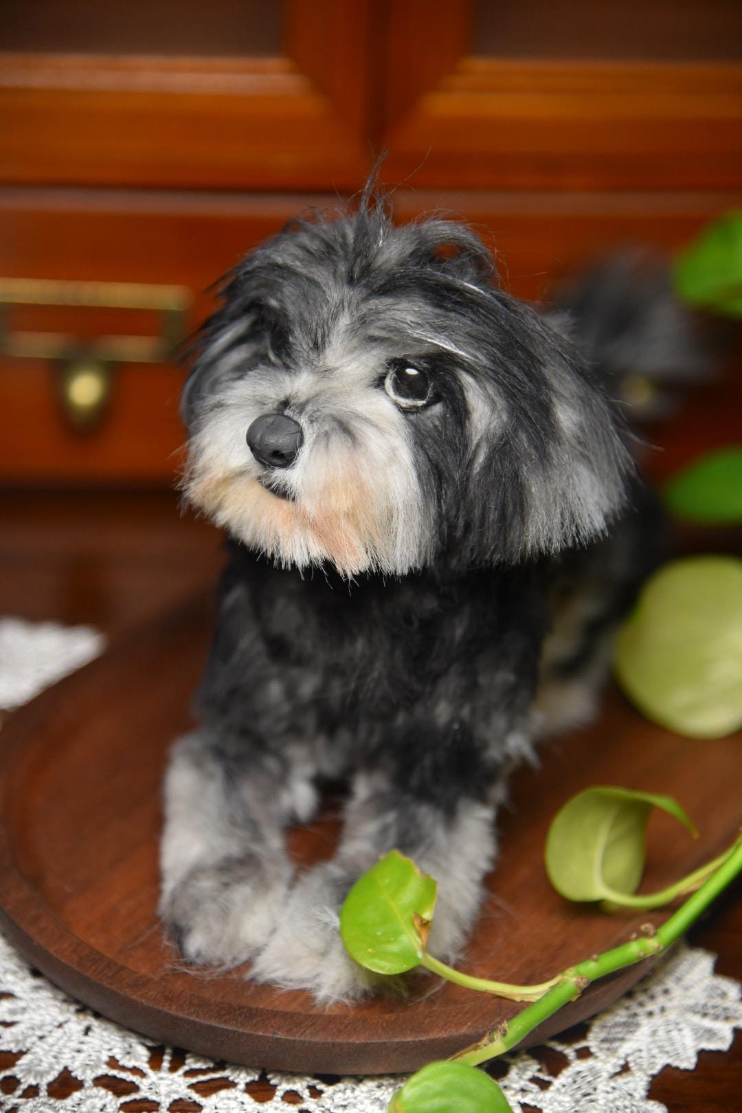 Réplica de perro de peluche personalizada, foto de mascota convertida en peluche personalizado, perro de casa de muñecas hecho a mano con limpiapipas, peluche personalizado para mascota conmemorativo - 24