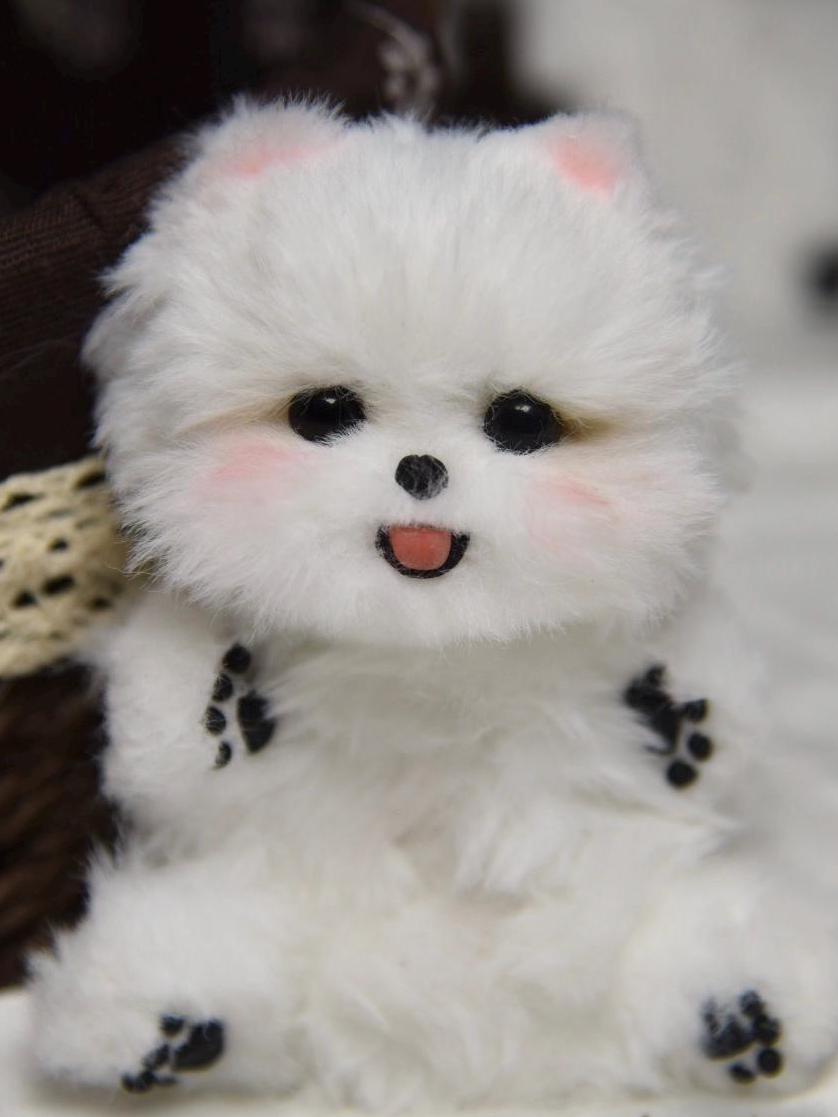 Pomeranian Plush Toy,chihuahua, Yorkshire Terrier Toy,Emotional Support, Dog Miniature, Dog Keychain,Realistic Pet Plush