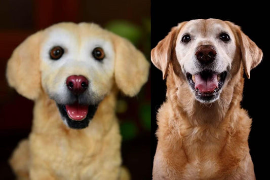 Custom Pet Replica, Labrador, Photo of pet into custom stuffed animal, Handmade Pipe Cleaner Dog, Personalized Pet Plush, pet Memorial